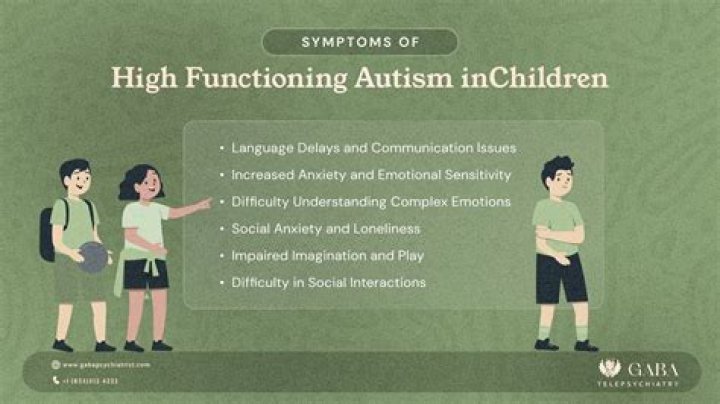 What is a high-functioning autistic child like?