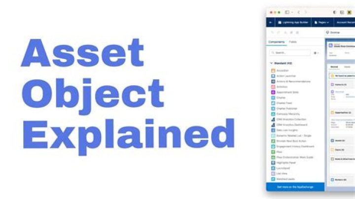 What is a primary asset example?