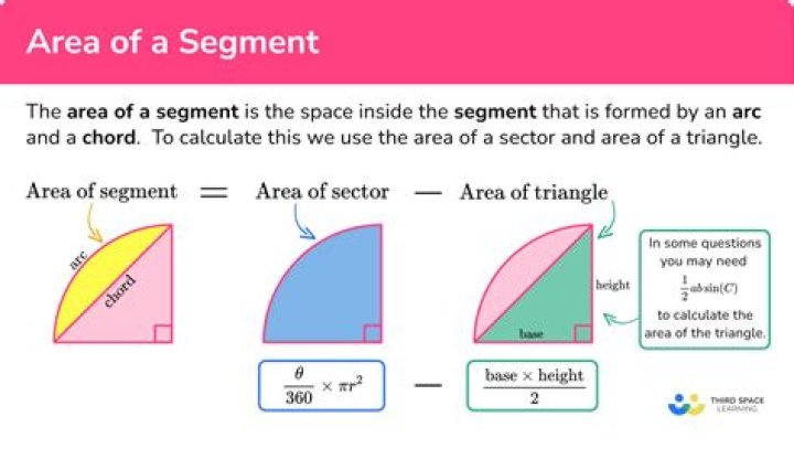 What is a segment margin?