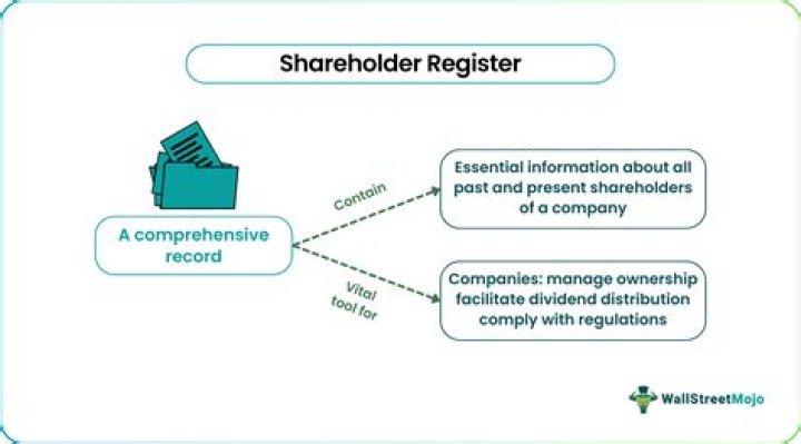 What is a shareholder basis statement?