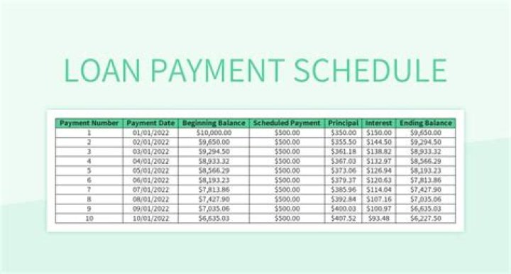 What is a shareholder loan repayment?