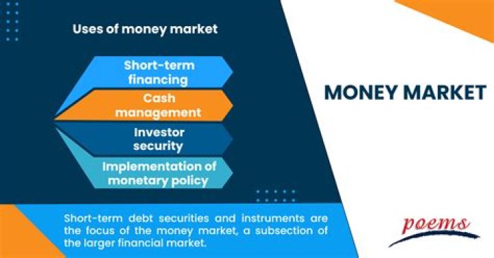 What is a short term money market fund?