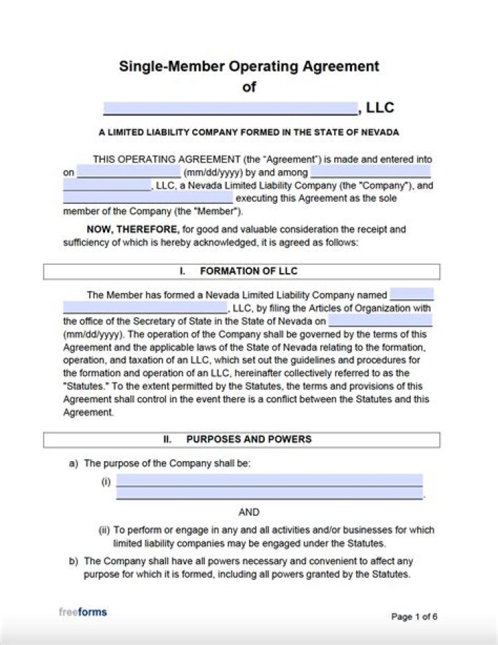 What is a single-member business?