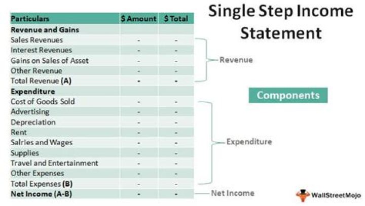 What is a single step income statement?