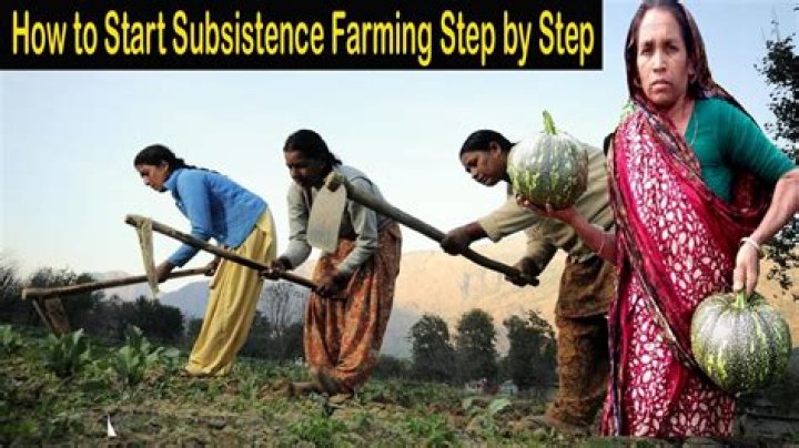 What is a subsistence company?