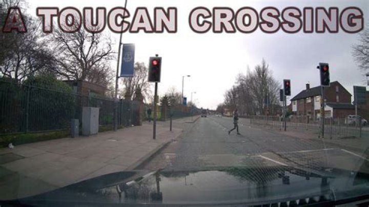 What is a toucan crossing look like?