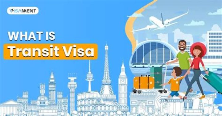 What is a transit visitor?