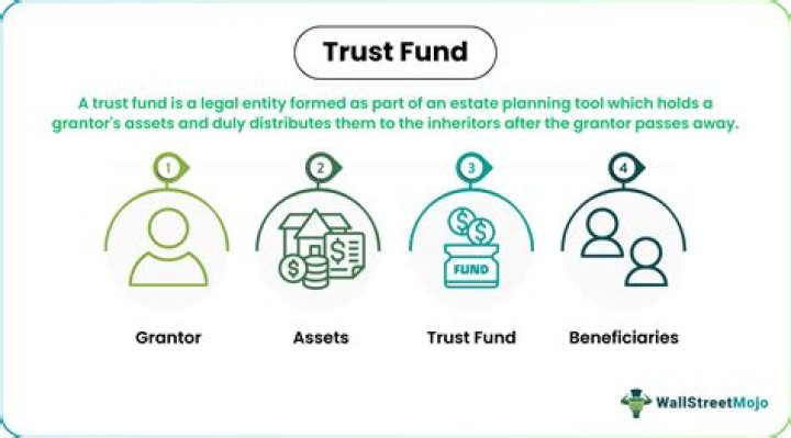 What is a trust fund in a nursing home?