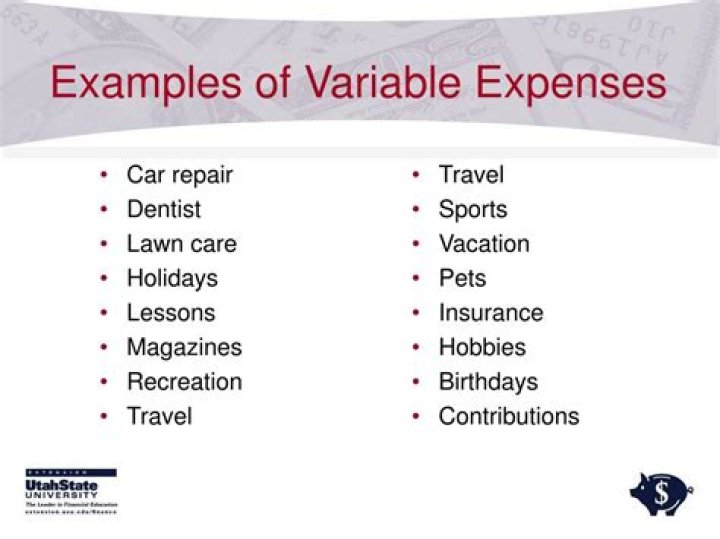 What is an example of a variable expense?
