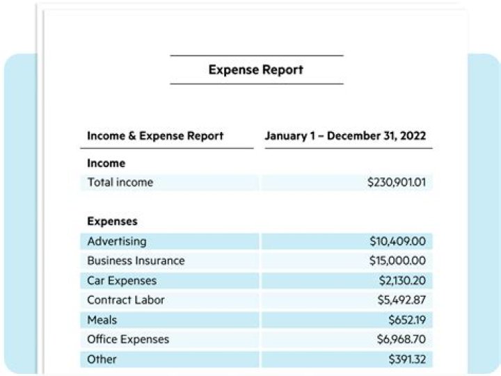 What is an expense statement a record of?