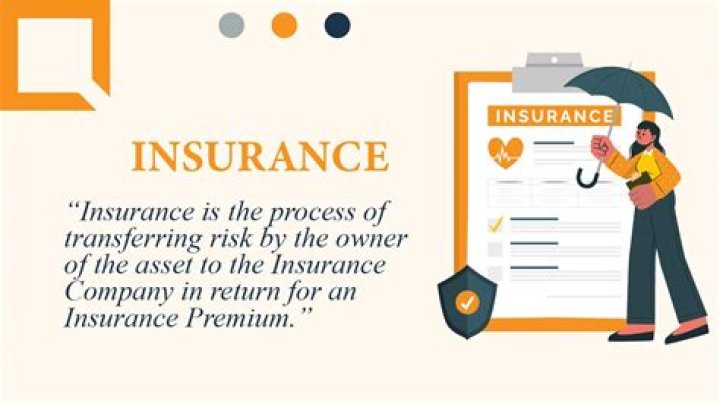 What is an insurance issue date?