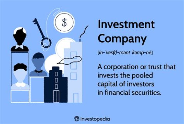 What is an investment company in business?