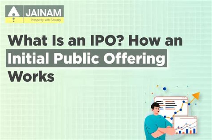 What is an IPO statement?