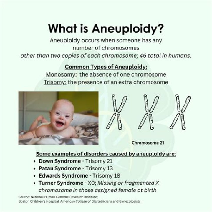 What is and aneuploidy?