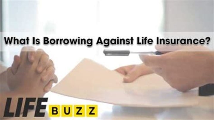 What is borrowing against?