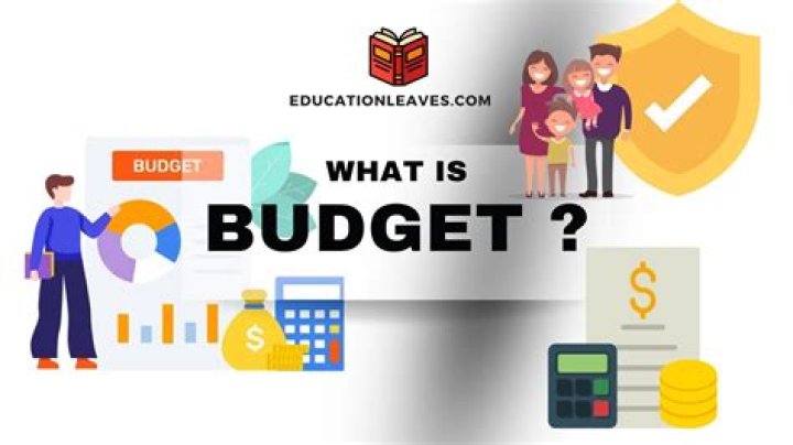 What is budget record?