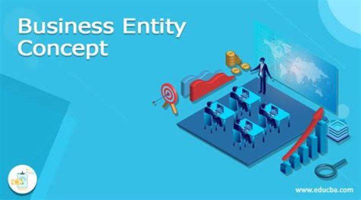 What is business entity concept?