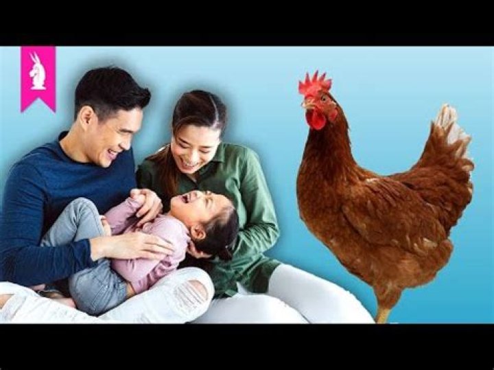 What is chicken blood parenting?
