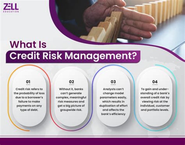 What is credit risk in financial risk?