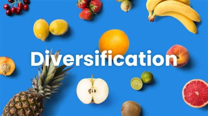 What is diversified collection agency?