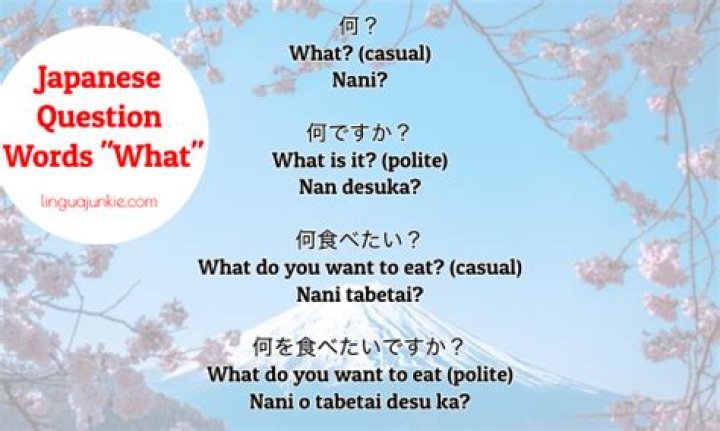 What is Dochira Japanese?