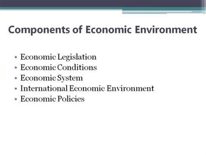 What is economic environment and its components?