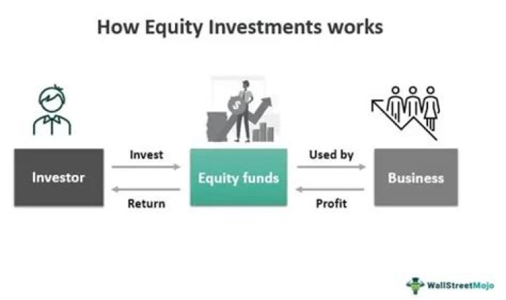 What is equity investment?