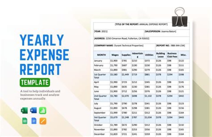What is expense report in Excel?