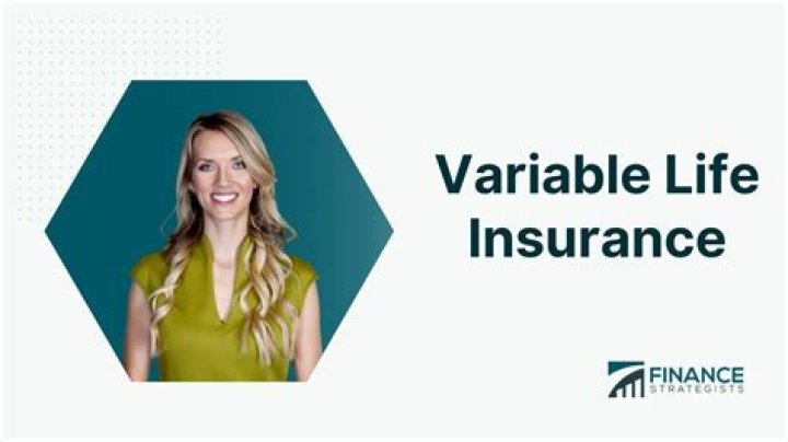 What is flexible premium variable life insurance?