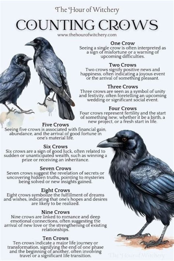 What is Giyuu Crow name?