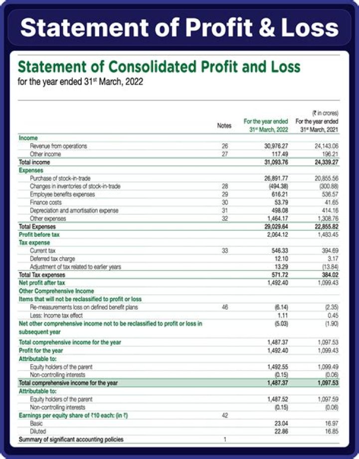 What is included in a profit and loss statement?