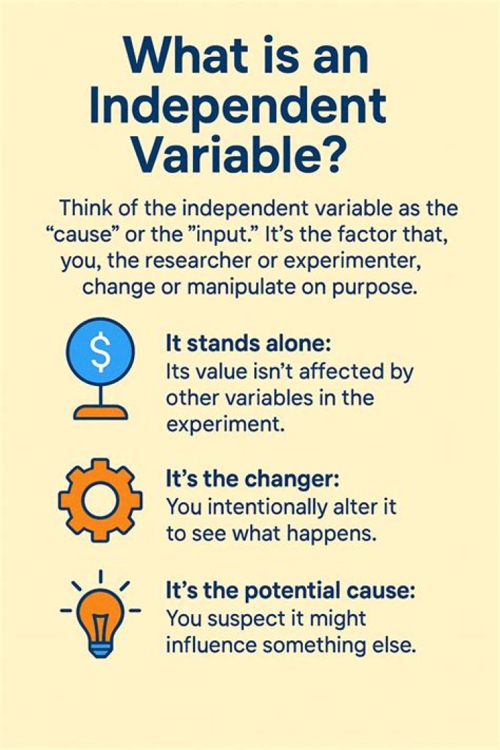 What is independent employment?