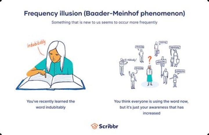 What is it called when stocks pay?