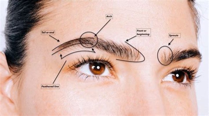 What is it called when you bring your eyebrows together?