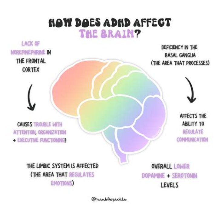 What is lacking in an ADHD brain?