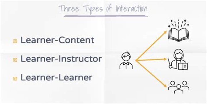 What is learner learner interaction?