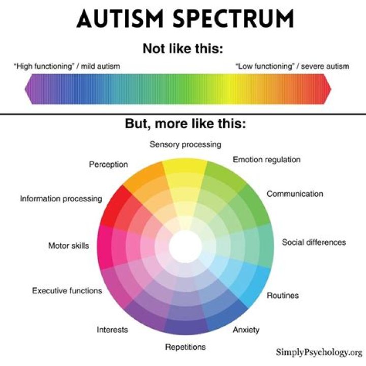 What is mild autism like?