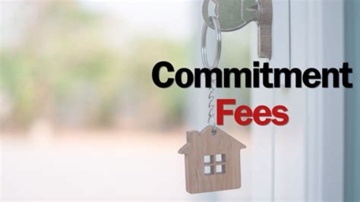 What is monthly commitment fee?