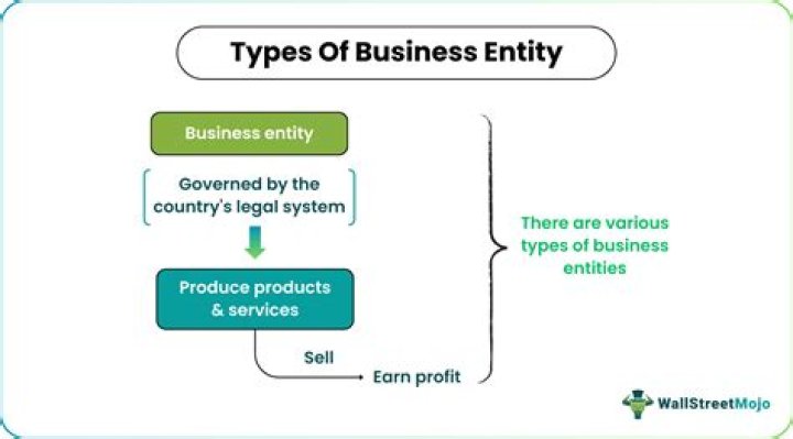 What is my business entity type?