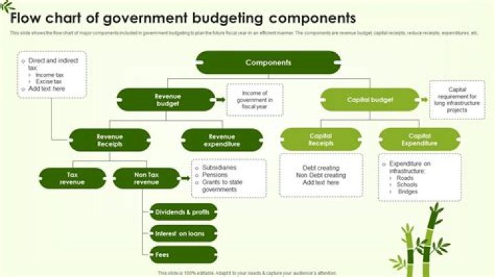 What is national budget and its components?