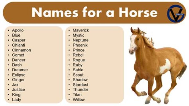 What is Octavia's horse name?