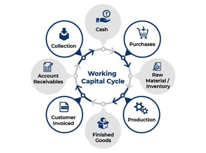What is operating cash working capital?
