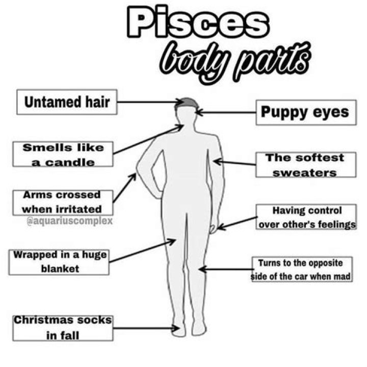 What is Pisces body part?