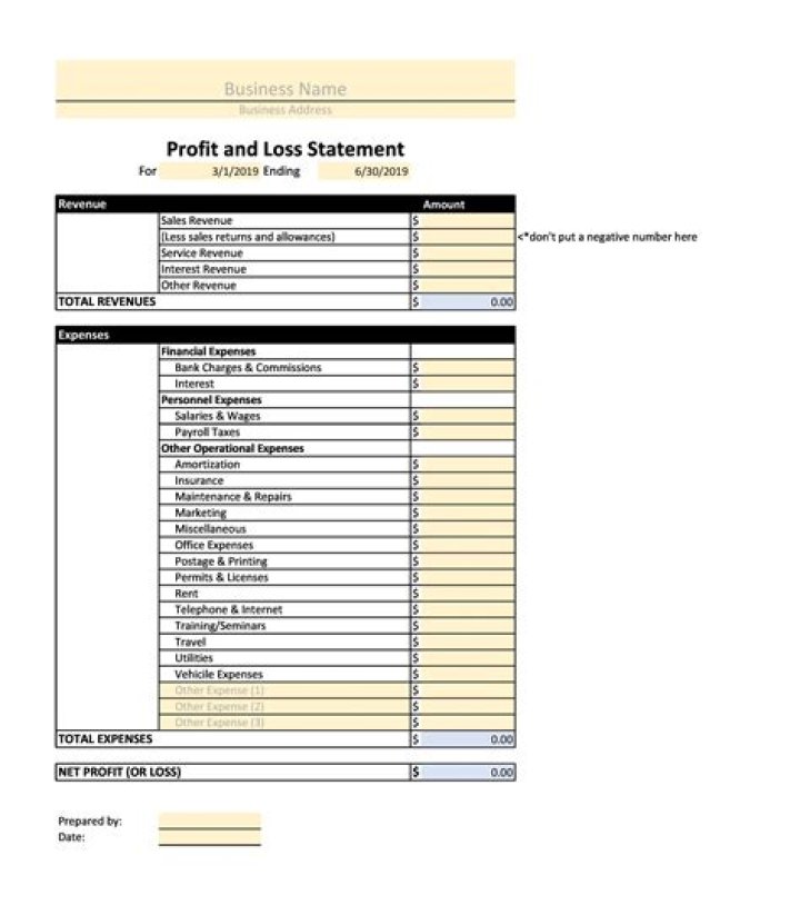 What is profit and loss statement PDF?