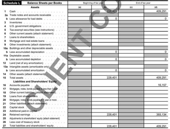 What is reported on Schedule L balance sheets per books?