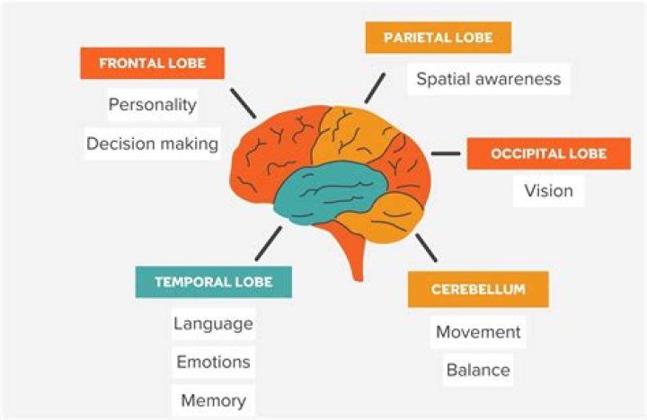 What is ROE affected by?
