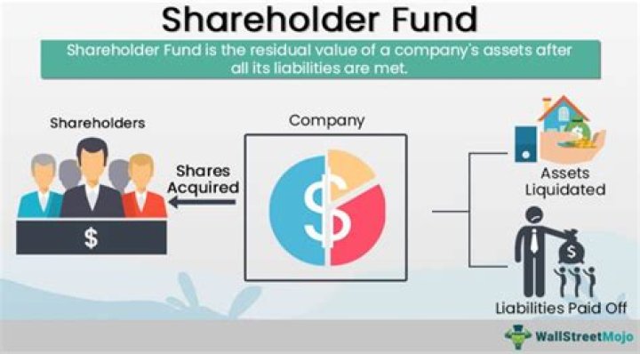 What is shareholder fund?
