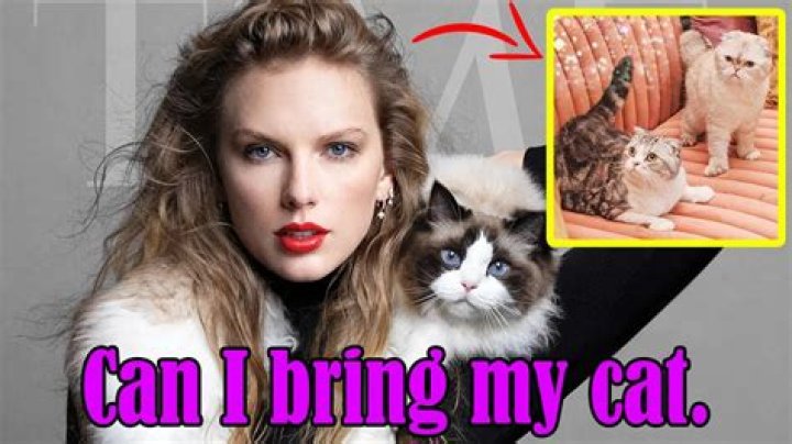 What is Taylor Swift's cats name?