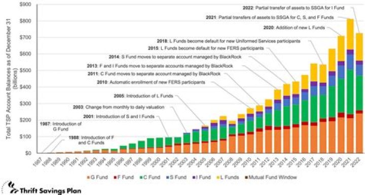 What is the best fund for Thrift Savings Plan?