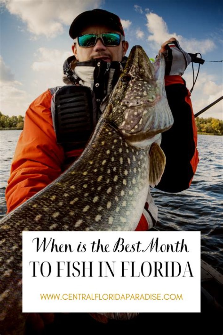What is the best month to fish in Florida?